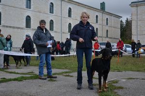 Meilleur chien de la journee M. Hersant 