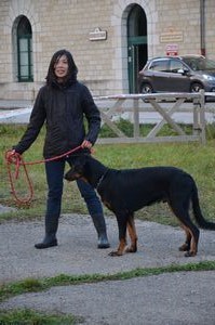 final puppy mâle 
