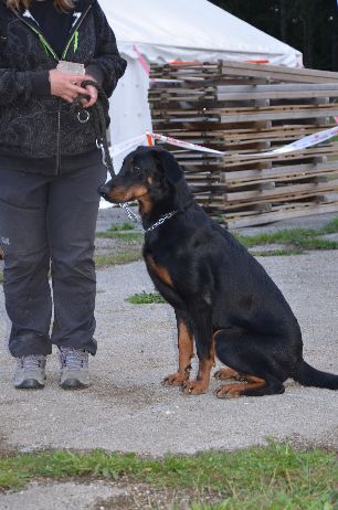 Sophie et Markyze.